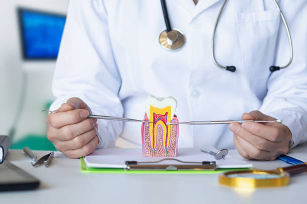 Best Knocked-Out Tooth (Avulsed Tooth) Treatment in Center, CO
